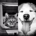 Marty & Blake - @marty_and_blake - Instagram