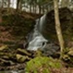 Marty Blake - @fallzhunter - Instagram