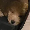 marty__braun__ - @marty__braun__ - TikTok