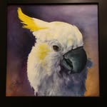 Marty Brewster - @brewstermarty - Instagram