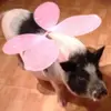 Marty Brewster - @marty.brewster - TikTok