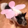 martybrewster2 - @martybrewster2 - TikTok
