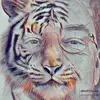 Marty Bryant - @marty.bryant4 - TikTok