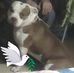 Marty Buckner - Facebook