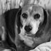 Marty Louie Buckner - Facebook