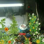 Marty Cano - @martycano63 - Instagram