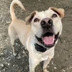 Marty Baloo & Casey - @martybaloo - Instagram