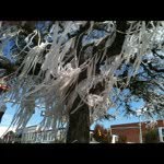 Marty Casey - @marty_casey - Instagram