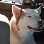 Marty Conley - @conleymarty - Instagram