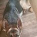 Marty Conley - Facebook