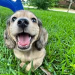 marty corley - @martymooskers - Instagram