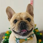 Marty Craig - @martycraig_az - Instagram