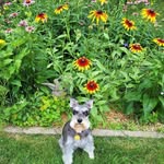 Marty Dailey - @daileymarty - Instagram
