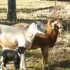 farmermarty73 - @farmermarty73 - TikTok