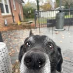 Marty Helms Farmer - @martyfarmer - Instagram