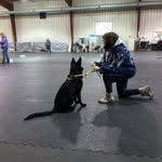Mary Gingerich Rink - @mary_rink - Instagram