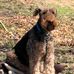 Marty Greer - Facebook