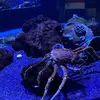 Marty_Hargrove - @marty_hargrove - TikTok