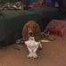 Marty Hardin - Facebook