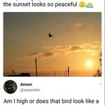 Marty Hendricks - @poop56955 - Instagram
