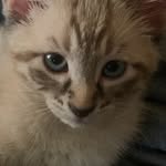 Marty Henry - @marty.henry.988 - Instagram