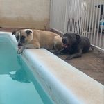 Marty Joyce - @martyjoyce66 - Instagram
