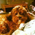 Marty - @martykillen - Instagram