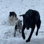 Marty & Beau Knapp - @marty.knapp - Instagram