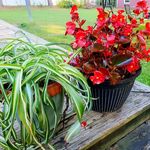 Marty Landers - @marty.landers - Instagram
