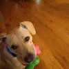 Marty Laughlin - @marty.laughlin3 - TikTok