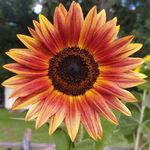 Marty Lawrence - @marty.lawrence.754 - Instagram