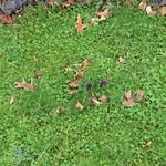 Marty Levine - @martylevine22 - Instagram