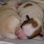 Marty Lowe - @mr._freckle - Instagram