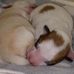 Marty Lowe - Facebook