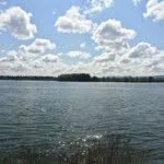 Marty Lowery - @martylowery50 - Instagram