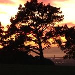 Marty Lynch - @channingmarty - Instagram