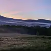 Marty Lyon-Terrel - @marty.lyonterrel - TikTok