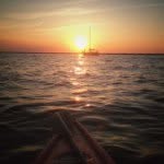 Marty Mace - @dedicated_to_bay - Instagram