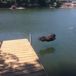 Marty McGill - @mcgill.marty - Instagram