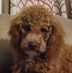 Marty McGuire - Facebook