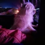 Martin Meehan - @mart.ymeehan - Instagram