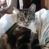 Marty_meehan - @martymeehan - TikTok
