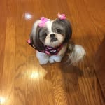 Marty Miles - @miles.marty - Instagram
