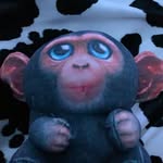 @martymonkeyoffical - Instagram