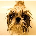 MartyPants - @martymonkeymuffin - Instagram