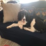 Marty Moses Champney - @martychampney - Instagram