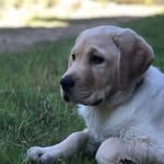Martin Munn - @martymunnnn - Instagram