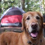 Marty Pearson - @pearson.marty - Instagram