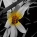 Marty Reaves - Facebook