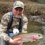 Marty Revis - @revis_marty - Instagram